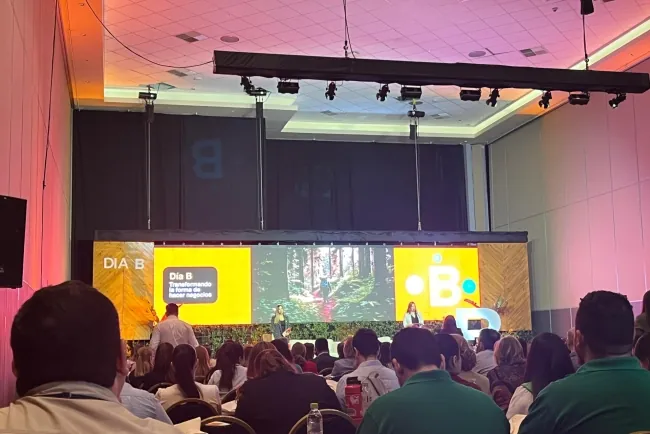 Créditos de Carbono en Paraguay: Un Camino hacia la Sostenibilidad y Nuevas Oportunidades de Negocio